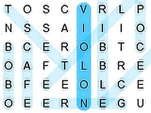 Word Search Grid Puzzle