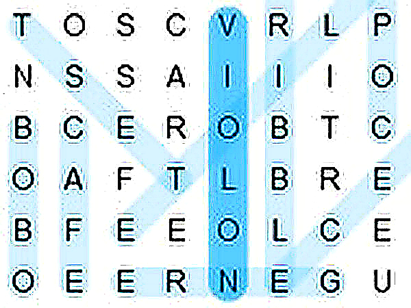 Word Search Grid Puzzle