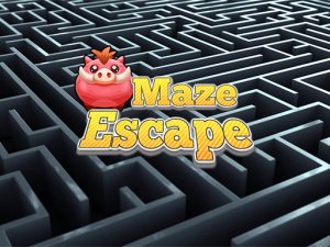 Maze Escape Puzzle Game