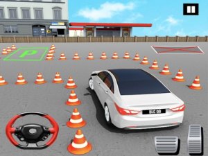 Fish Parking 3D Arcade