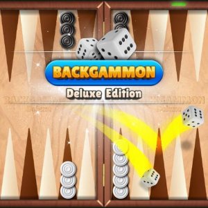 Classic Backgammon Board Game