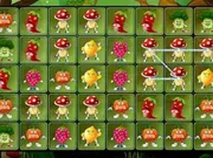 Sunny Meadow Produce Link