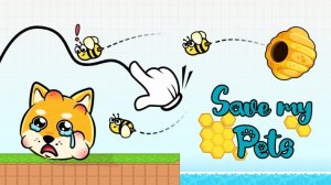 Canine Shield Logic Puzzle